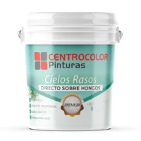 Pintura para Cielos Rasos Directo Sobre Hongos 20 L Centrocolor