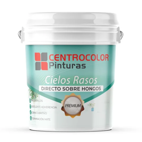 Pintura para Cielos Rasos Directo Sobre Hongos 20 L Centrocolor
